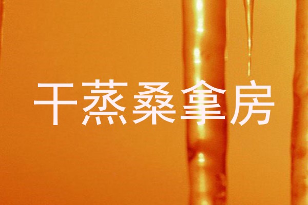 干蒸桑拿房