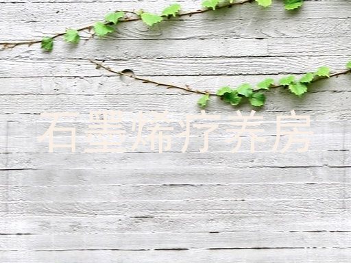 石墨烯疗养房