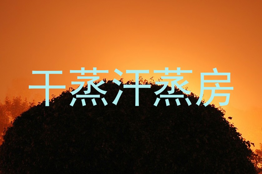 干蒸汗蒸房