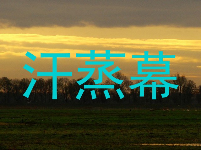 汗蒸幕