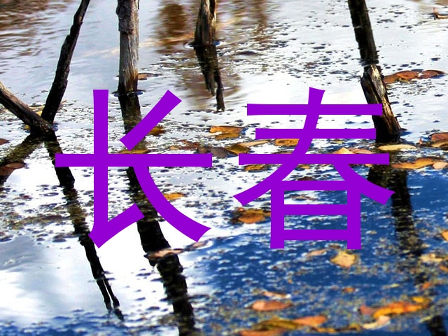 长春