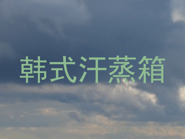 韩式汗蒸箱