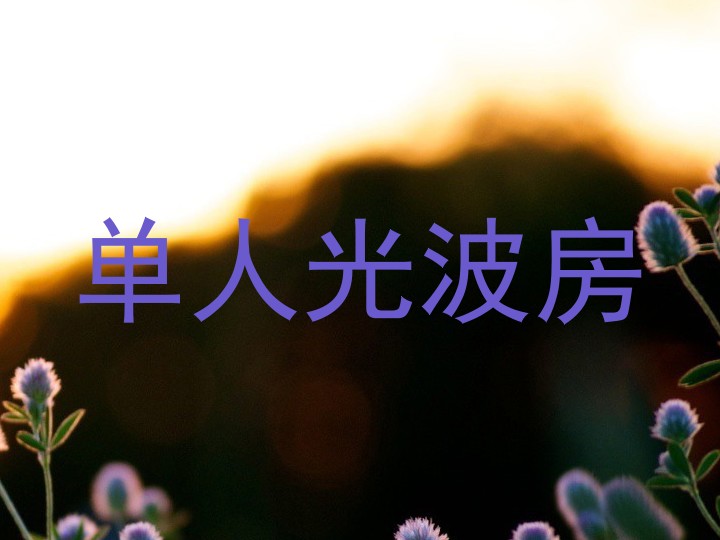 单人光波房