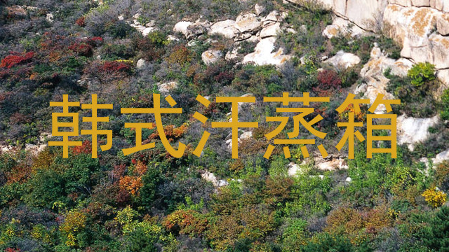 韩式汗蒸箱