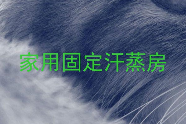 家用固定汗蒸房
