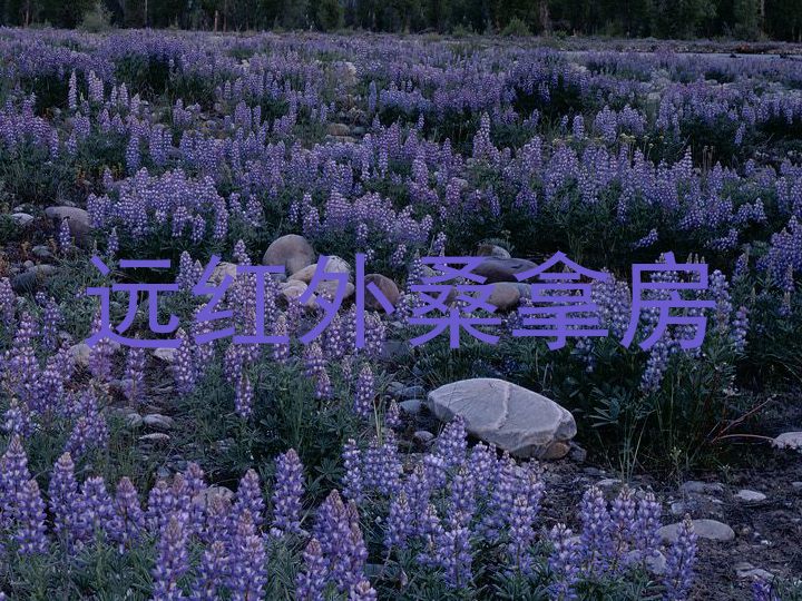 远红外桑拿房