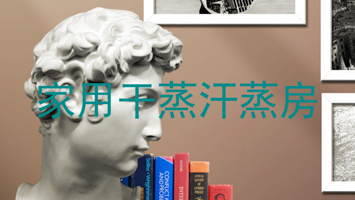 家用干蒸汗蒸房