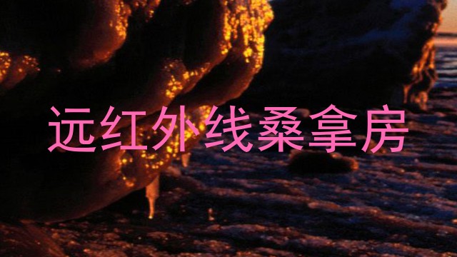 远红外线桑拿房