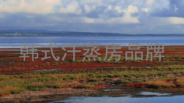 韩式汗蒸房品牌