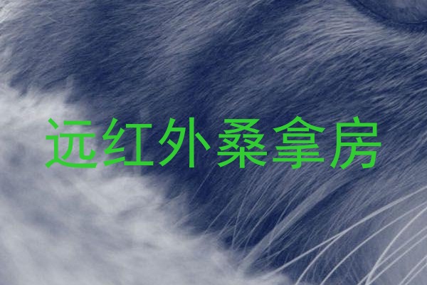 远红外桑拿房