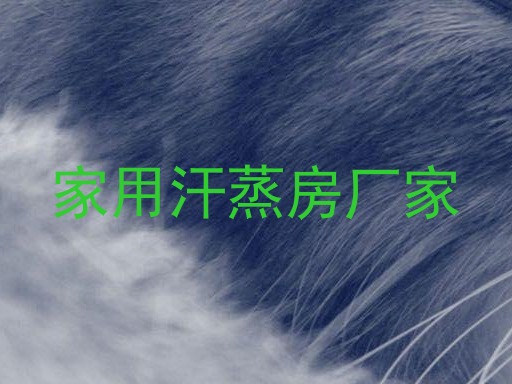 家用汗蒸房厂家