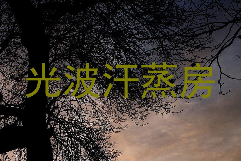 光波汗蒸房