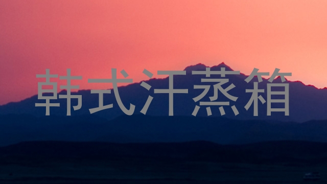 韩式汗蒸箱