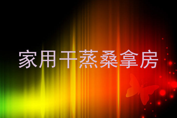 家用干蒸桑拿房