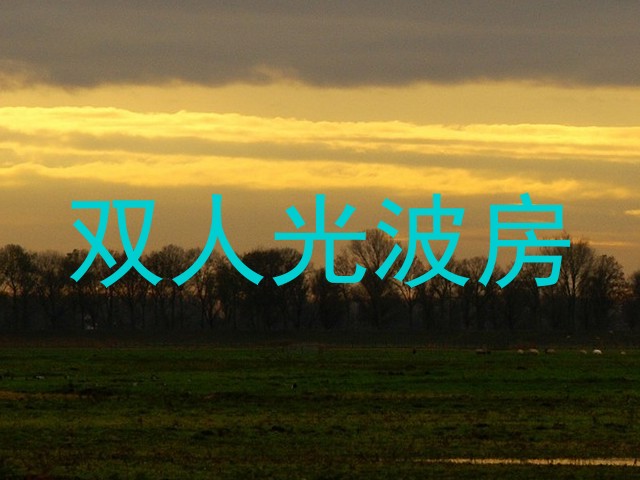 双人光波房