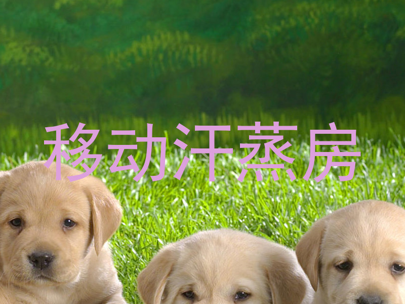 移动汗蒸房