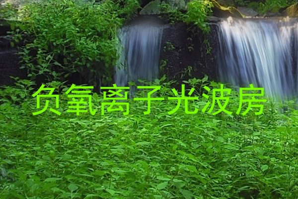 负氧离子光波房