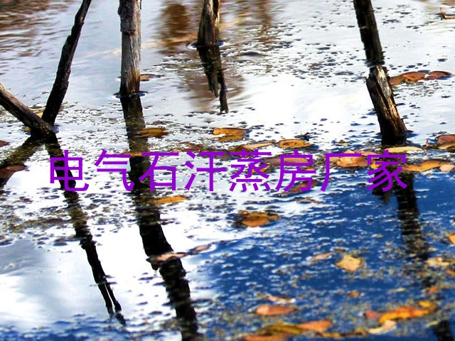 电气石汗蒸房厂家