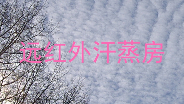 远红外汗蒸房