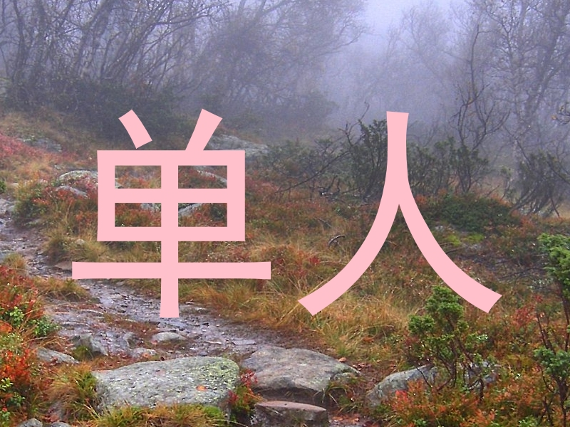 单人
