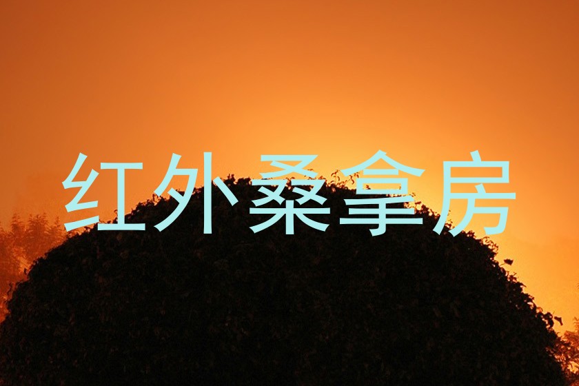 红外桑拿房