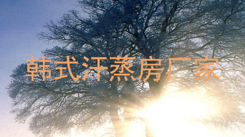 韩式汗蒸房厂家