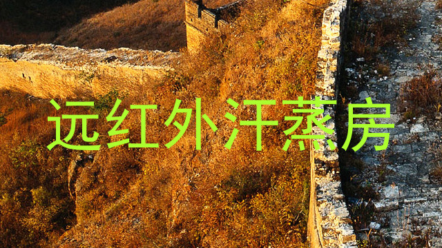 远红外汗蒸房