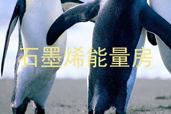 石墨烯能量房