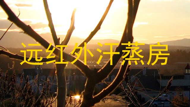 远红外汗蒸房