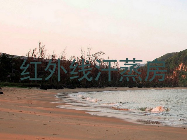 红外线汗蒸房