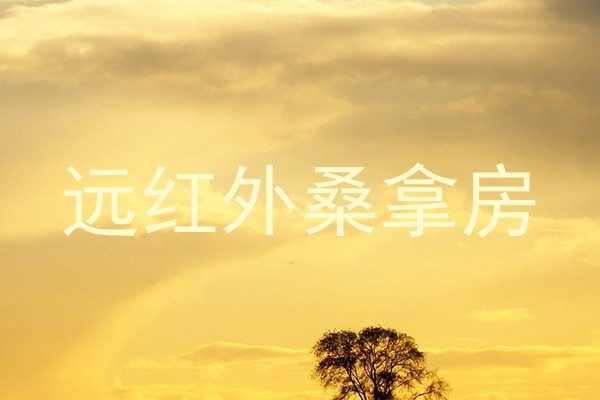 远红外桑拿房