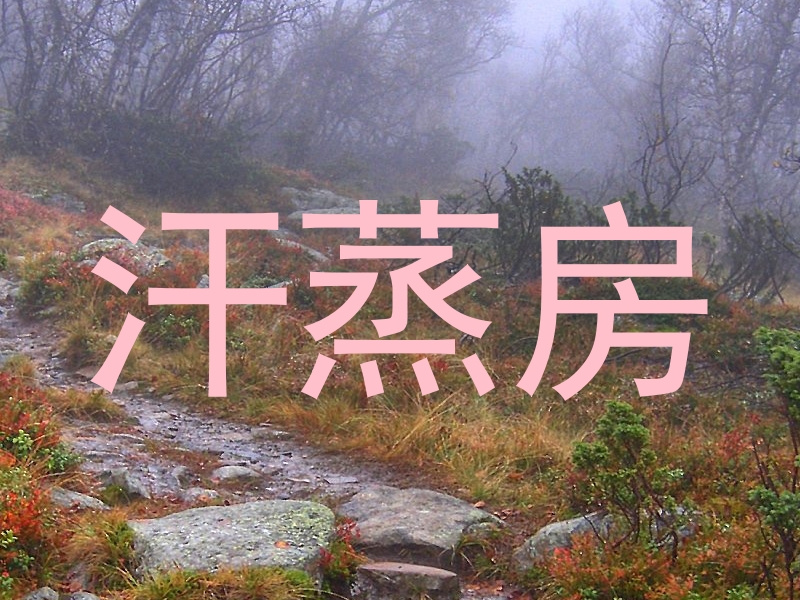 汗蒸房
