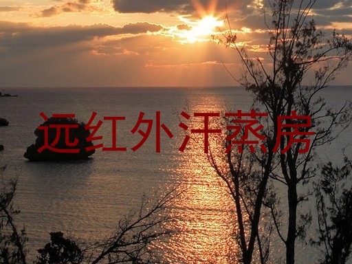 远红外汗蒸房
