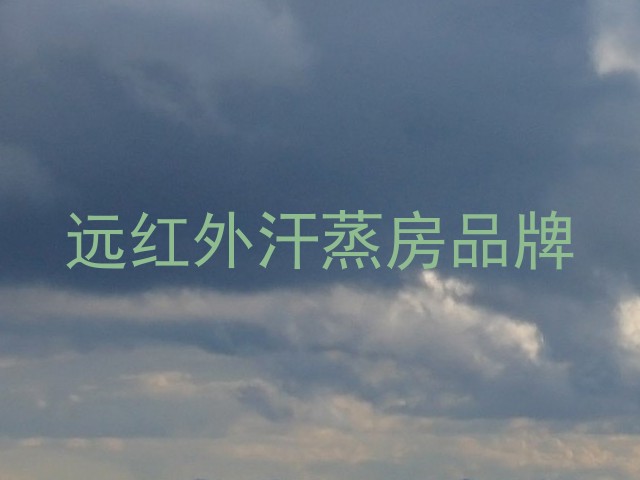 远红外汗蒸房品牌