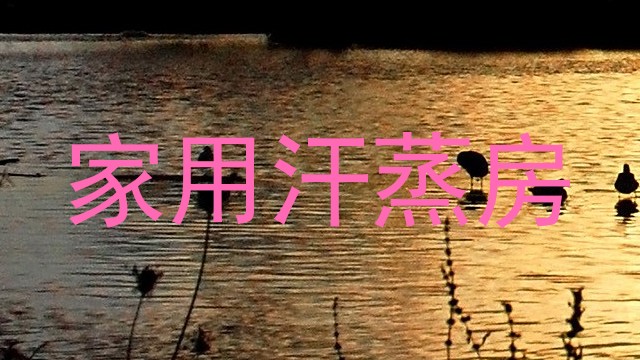 家用汗蒸房