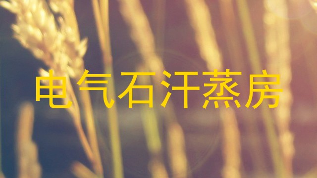 电气石汗蒸房