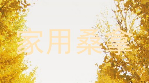 家用桑拿