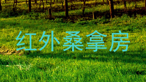 红外桑拿房