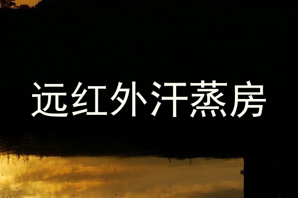 远红外汗蒸房