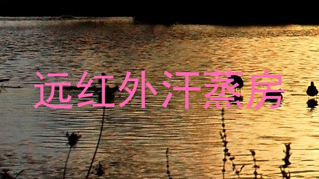 远红外汗蒸房