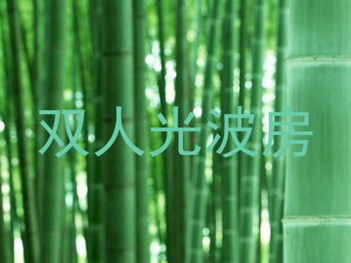 双人光波房
