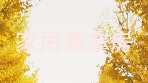 家用桑拿房