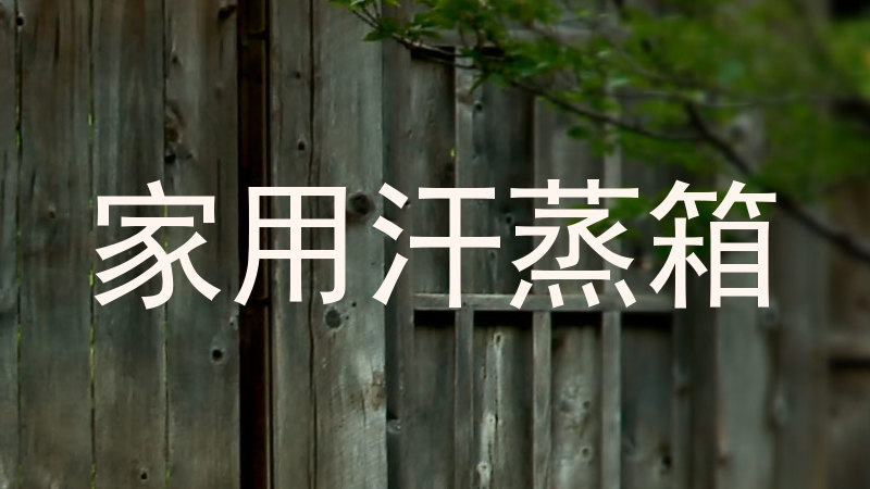 家用汗蒸箱