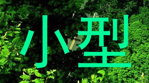 小型