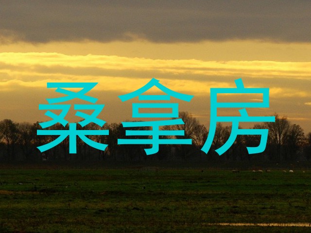 桑拿房