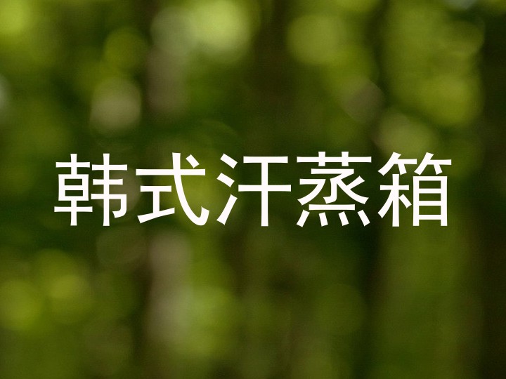 韩式汗蒸箱