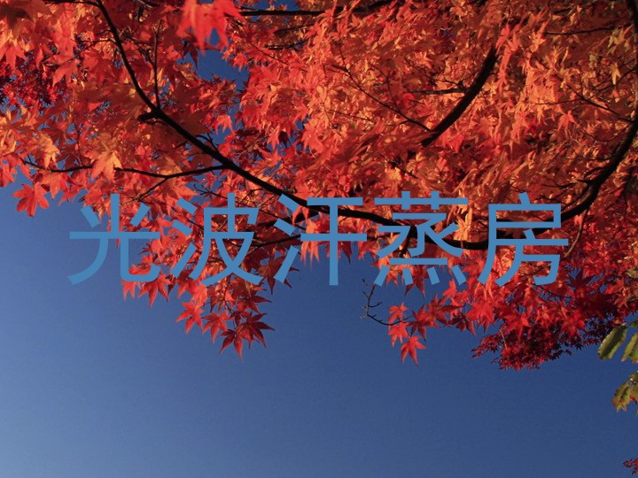 光波汗蒸房