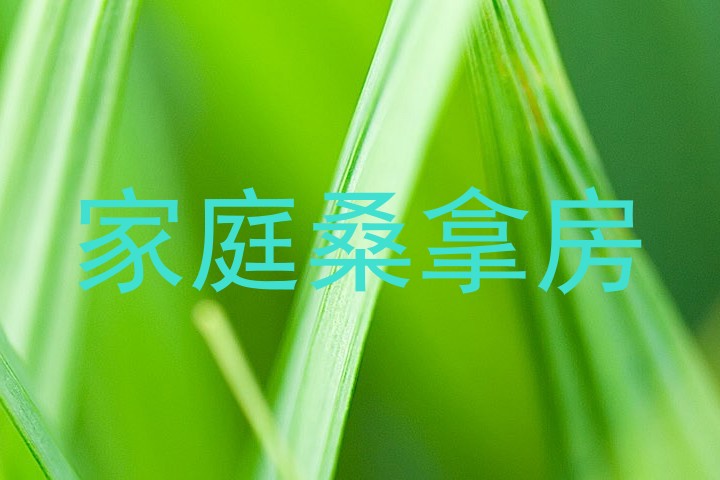 家庭桑拿房
