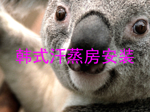 韩式汗蒸房安装