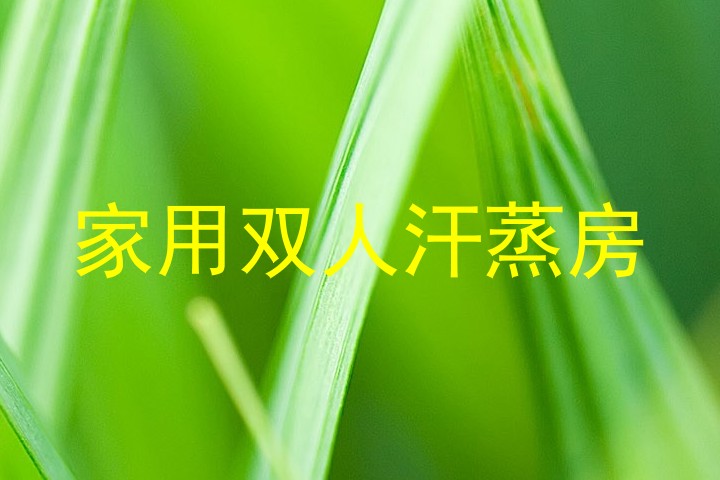 家用双人汗蒸房